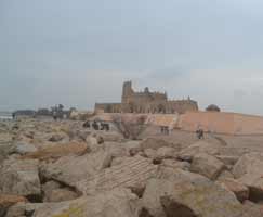 Tour Package In Bhubaneswar